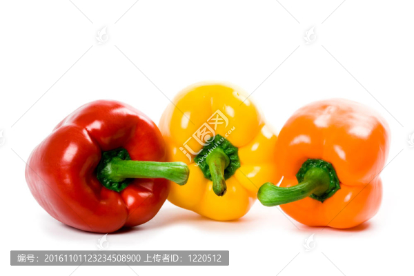 三青椒