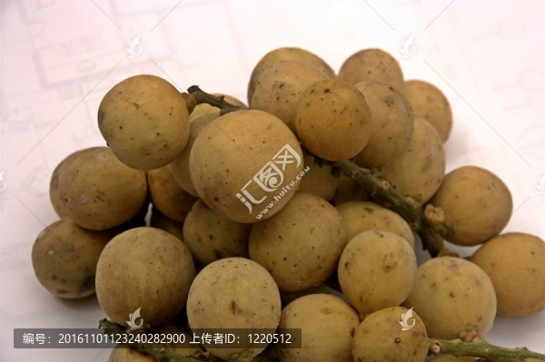 熱帶水果