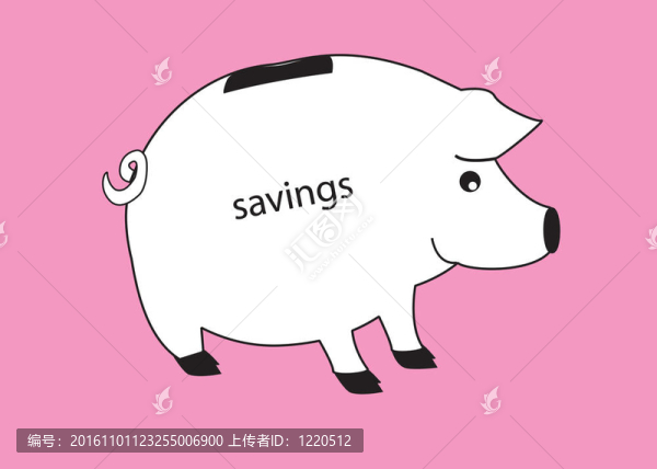小豬白