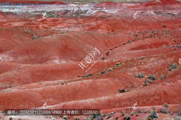 石化森林景觀-亞利桑那州