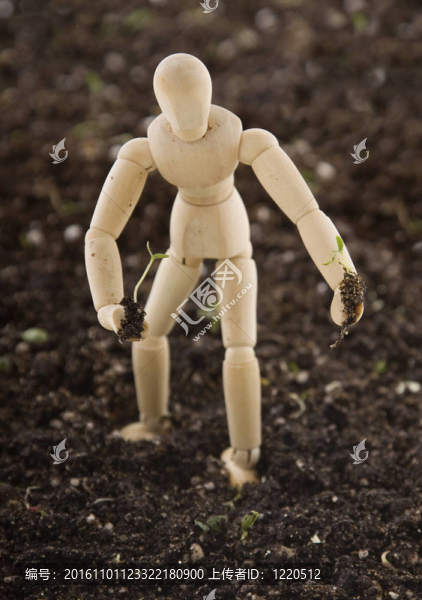模特持植物幼苗盆栽土壤站