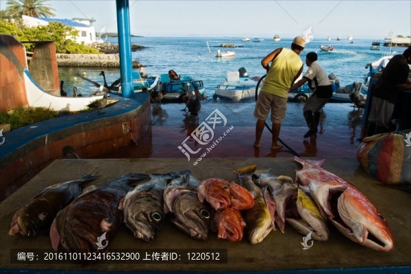 魚市場(chǎng)。