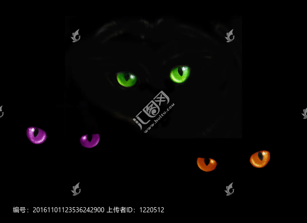 貓的眼睛在黑暗中