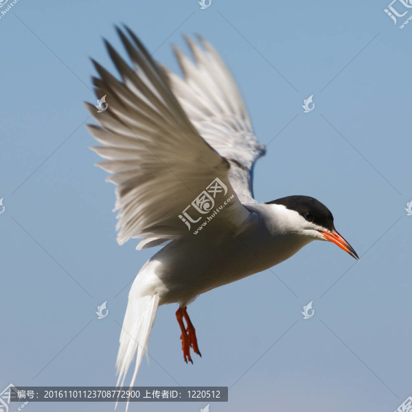長(zhǎng)期效益。