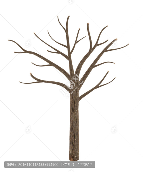 白色的高質(zhì)量死樹