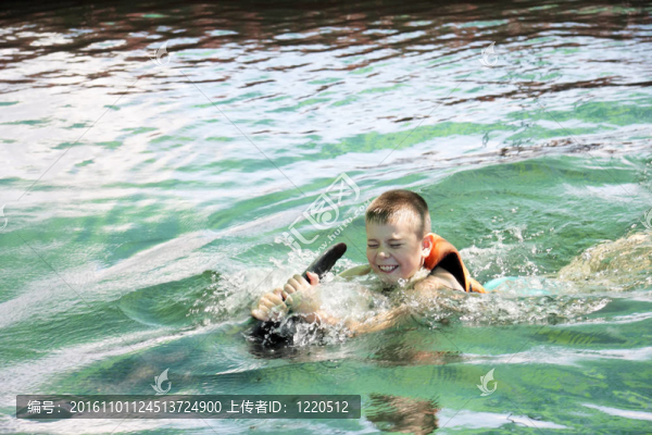 和海豚游泳的男孩