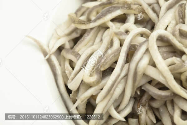 鰻魚