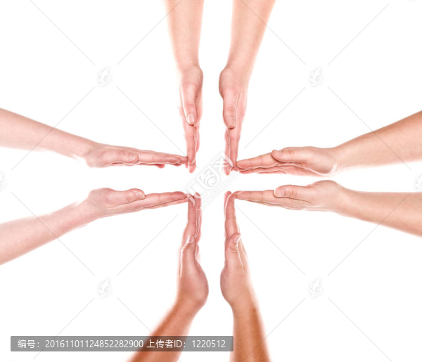人之手的形成