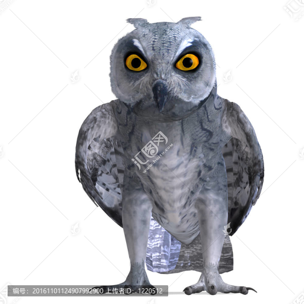 角鸮鳥。3D渲染與剪輯路徑和陰影超過白色