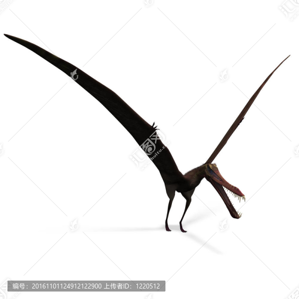 古魔翼龍翼龍恐龍。3D渲染與剪輯路徑和陰影超過白色
