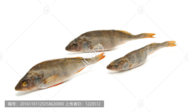 三咸魚