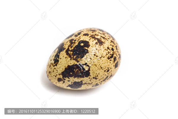 鵪鶉蛋