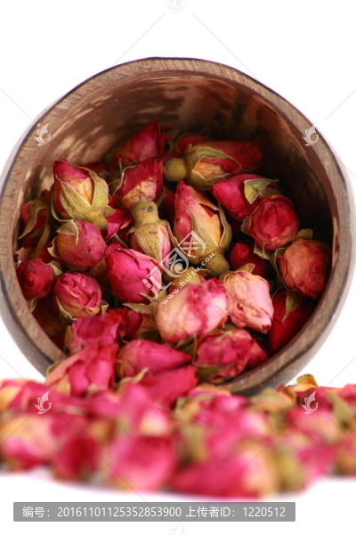 茶玫瑰花蕾。