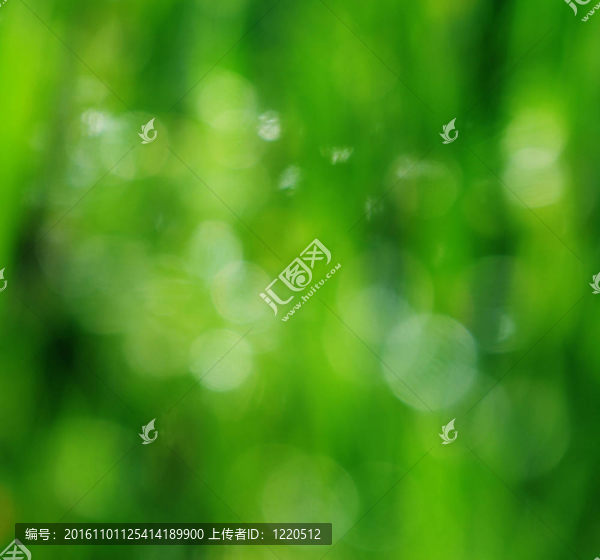 美麗的模糊的綠色背景