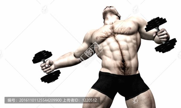性感男體生成器重生活