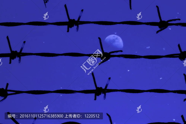 鐵絲網(wǎng)夜