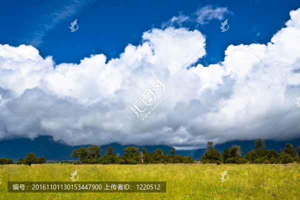 新西蘭農(nóng)村