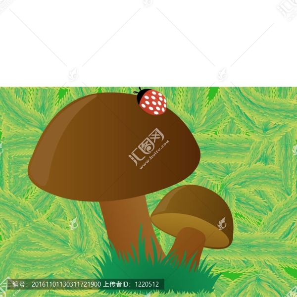 蘑菇的背景下