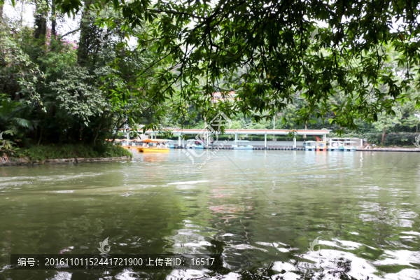 公園水上樂園