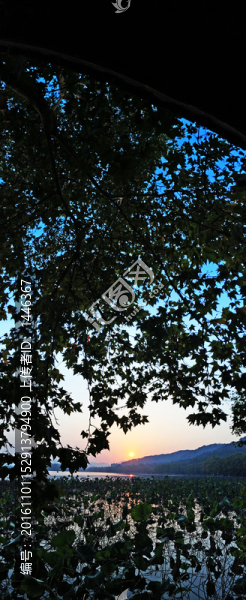 西湖