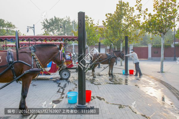 旅游觀光馬車