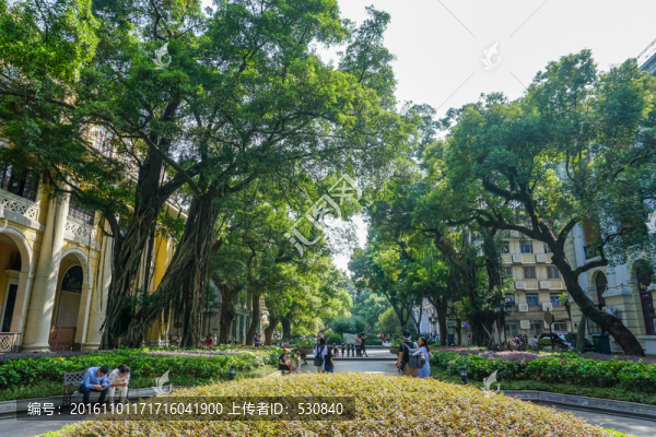 廣州租界老建筑,沙面老街