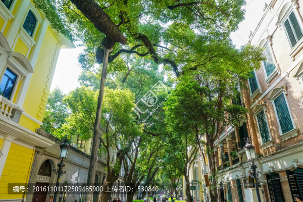廣州老建筑,沙面老街