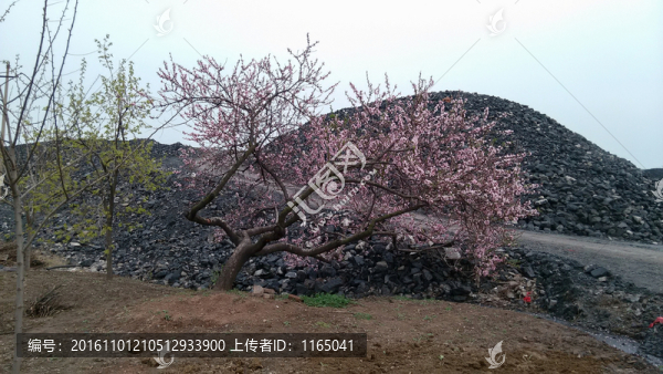 煤礦矸石山