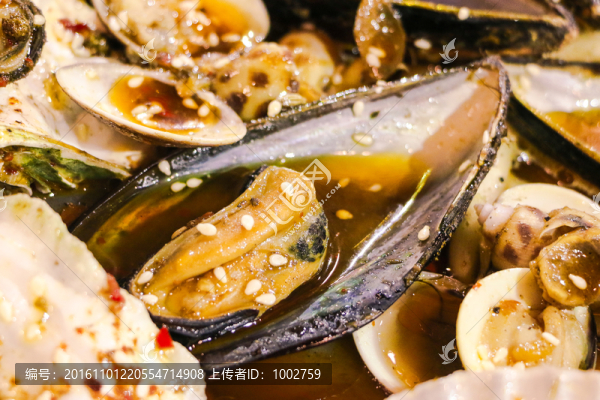 超大海鮮鍋,青口貝