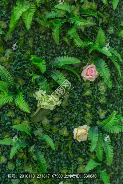 植物墻