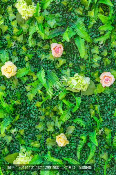 綠色植物墻,花墻背景