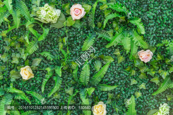 綠色植物墻,花墻背景