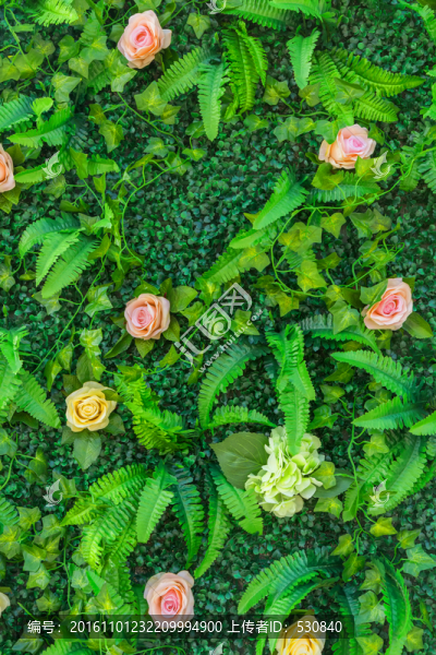綠色植物墻,,花墻