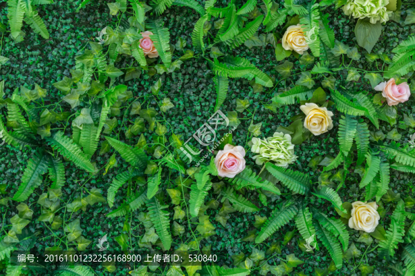 綠色植物墻,,花墻