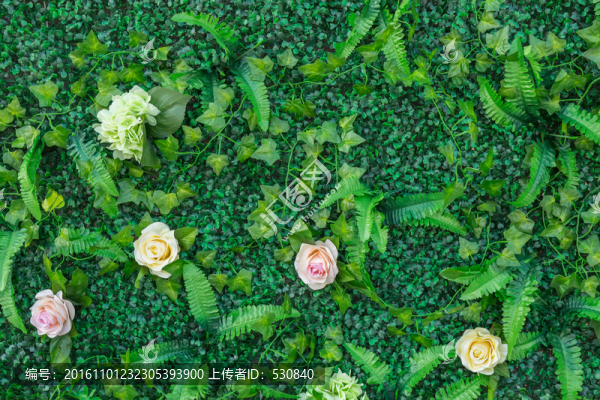綠色植物墻,,花墻