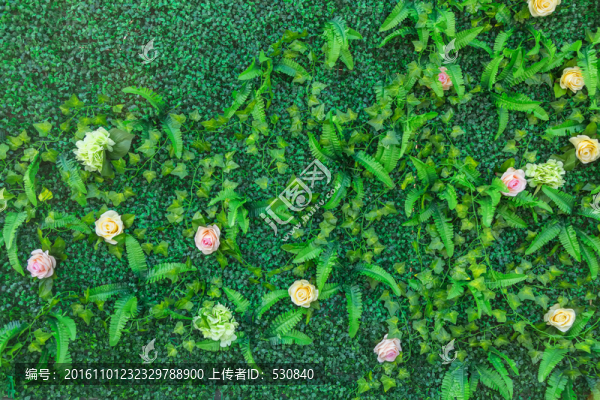 綠色植物墻,,花墻