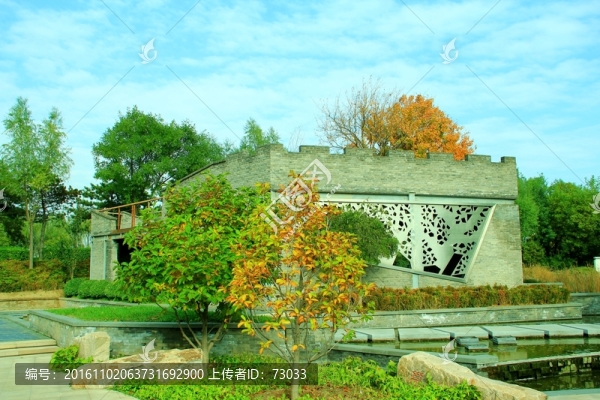 庭院