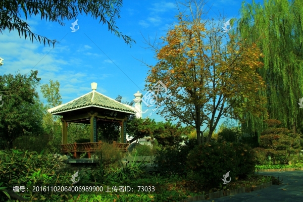 江南庭院
