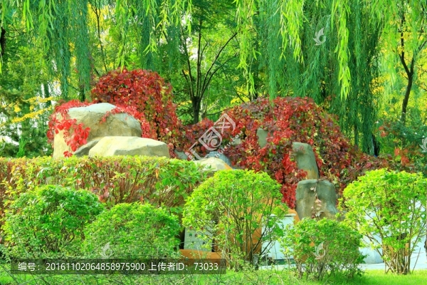 紅葉