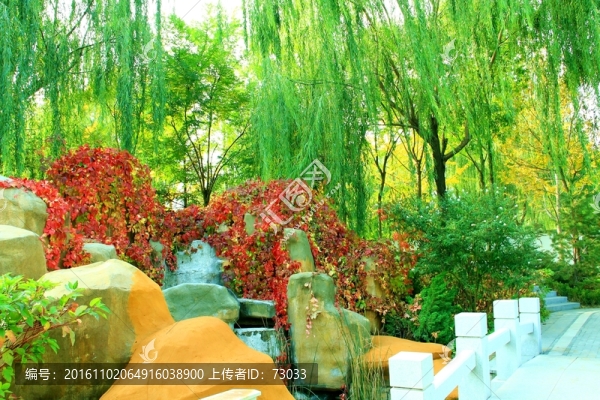 公園秋色