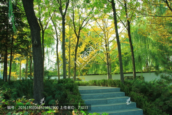 石階路