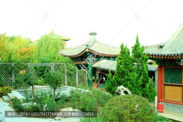 庭院