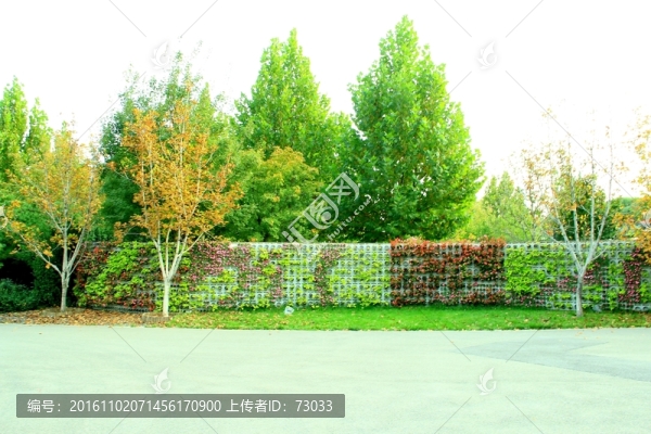 花墻