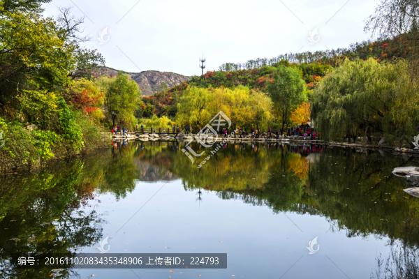 多彩九如山
