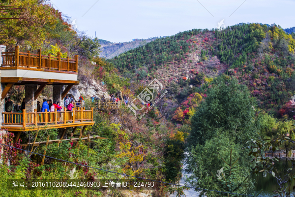 多彩九如山