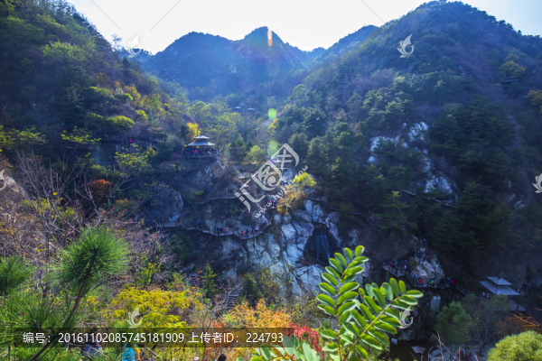 多彩九如山