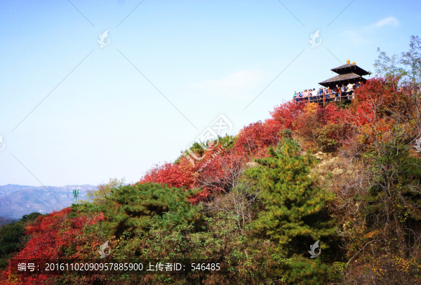 九如山,秋景,紅葉,亭子