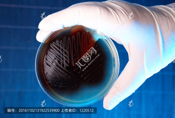 病理細(xì)菌