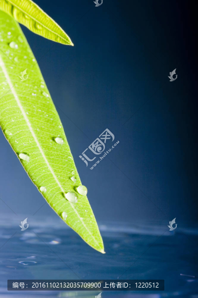 水滴