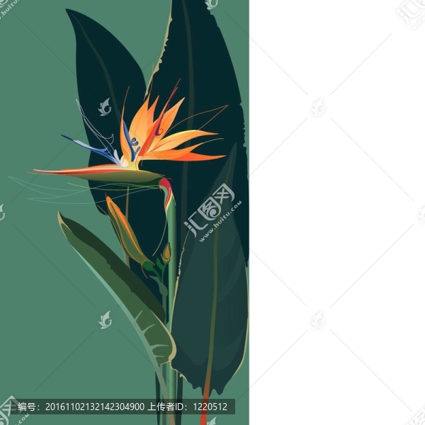 天堂之鳥